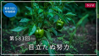 第583回「目立たぬ努力」2022/8/12【毎日の管長日記と呼吸瞑想】｜ 臨済宗円覚寺派管長 横田南嶺老師