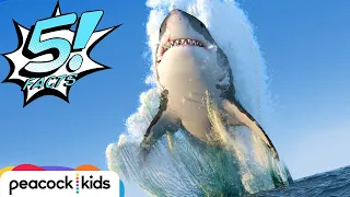 5 Facts about Sharks That Will Make Your JAWS Drop | 5 FACTS | Learn #withme