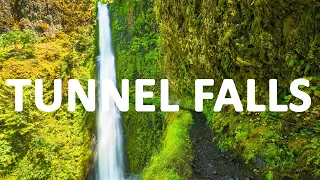 Tunnel Falls Oregon in 4K | Eagle Creek Trail | Columbia River Gorge | Hiking in Oregon