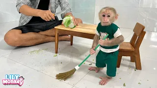 Monkey Lily obedient helps dad clean the kitchen