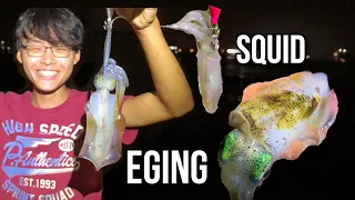 HOW To Catch Squid in Singapore | Best Night Bait for Fishing | Eging in Singapore