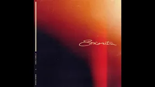 Shawn Mendes, Camila Cabello - Señorita (Super Clean)