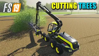 Cutting Trees For Carton Factory | Farming Simulator 19 | FS19 Canadian Farm Map 6