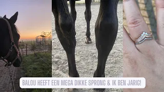 De DIERENARTS komt langs.. Dit is niet goed! - Life as Esmé