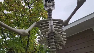 DIY 12ft skeleton lighting mod