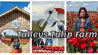 A Day Trip To Tulleys Tulip Farm Crawley England.