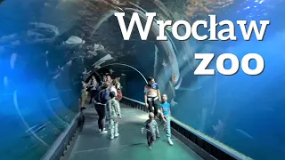 ZOO Wrocław Oceanarium Afrykarium MAJ 2023 MYSZOJELEŃ