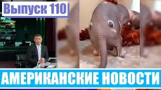 Hack News - Американские новости (Выпуск 110)