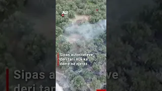 Zjarri pranë Fierit zbulon fishekët për Kallashnikov, të fshehur në pyll që nga viti 1997
