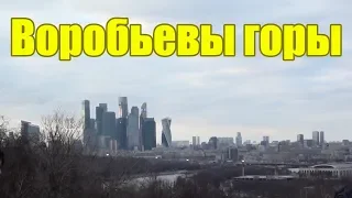 Куда сходить в Москве Воробьевы горы Красивый вид Интересные места