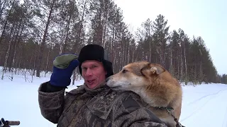 Поход с Туланом на таёжную речку. Пробую поймать хариуса. 1/2 серия.