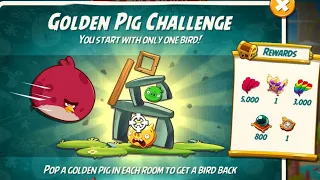 Angry birds 2 the golden pig challenge 5 June 2024 with Terence #ab2 the golden pig challenge today