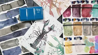 Overly Detailed Review of Rosa Gallery NEW Granulating Watercolors