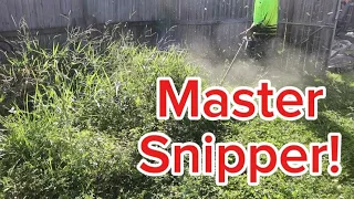 Transforming An Overgrown Yard Using Only A Weed Eater #asmr #satisfying