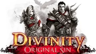 Divinity: Original Sin - Co-op [BLIND]
