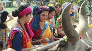 Gopastami Celebrations 2020 @ Sri Mayapur Goshala