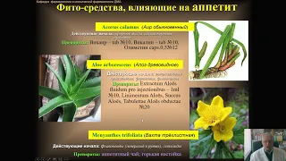 Фармакология системы пищеварения (профессор Мамчур В.И.)