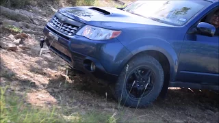 Subaru Forester vs Jeep Wrangler Off Road Downhill