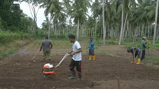 එලවලු වගාවට බිම් සැකසිම Home gardening Organic gardening  ගෙවතු වගාව gewathu wagawa kabanika wagawa