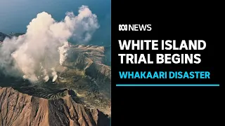 Whakaari eruption: Risk assessment allegedly 'did not happen', court hears | ABC News