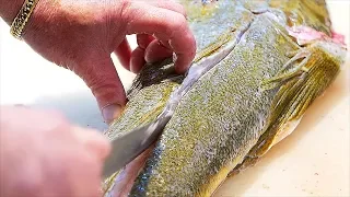 Japanese Street Food - LIZARD FISH Sashimi Okinawa Seafood Japan