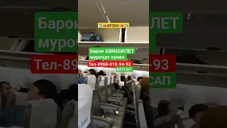 Барои АВИАБИЛЕТ АРЗОН муроҷиат кунен бародар #АВИАБИЛЕТ #таджикистан #душанбе #Таджикистан✈️Душанбе