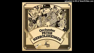 Orchester Peter Herbolzheimer  - Why is the sun never crying (German Jazz Funk - 1974)