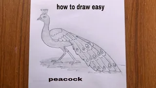 how to draw a peacock easy/draw peacock/peacock drawing