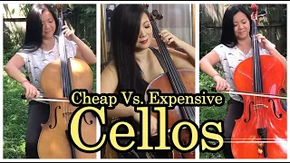 Can You Hear the Difference Between Cheap and Expensive Cellos? | Bach Cello Suite No. 1