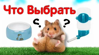 ПОИЛКА или МИСКА❓Что же выбрать хомяку🐹 #яХрумка