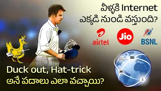 How Internet works | Where does Duck out and Hat-trick words come from | Telugu Facts