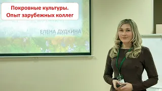 Покровные культуры - опыт зарубежных коллег. Елена Дудкина