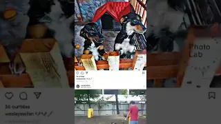 Games EduUu sendo flagrado por uma câmera que não seja a que ele posta vídeo.