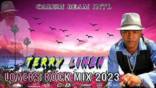 Terry Linen Mix 2023 / Terry Linen Lovers Rock Mix