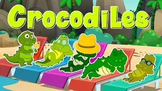 Five Little Crocodile | Nursery Rhymes | Kids Songs For Children