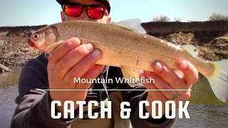 Mountain Whitefish Catch & Cook with Incredible Underwater Footage /and how to catch them/