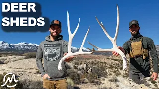 HENRY MOUNTAINS DEER SHED HUNT