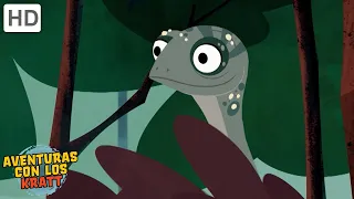 La selva tropical | Lagartos, monos, insectos + más! [episodios completos] Aventuras con los Kratt