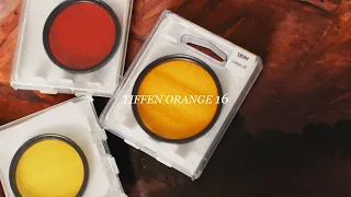 Shooting B&W w/ an Orange Filter