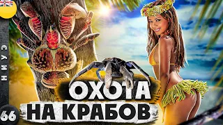 НИУЭ | ОСТРОВ, с которого ВСЕ хотят УЕХАТЬ | ОХОТА на пальмовых ВОРОВ