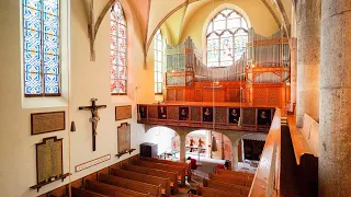 The ROMANTIC Steinmeyer Organ (1901) - FULL ORGAN DEMONSTRATION - Christuskirche Lindau - Paul Fey