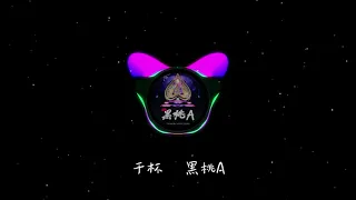 【抖音热播】DJ 小鱼儿 — 黑桃A Remix （DJ版 ）嘿嘿嘿。。。你是我的宝贝__Remix 2021 歌词 #lyrics