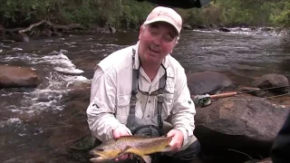 OTF 12 3 Gavin Hurley fly fishing in a medium sized Victorian River...