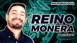 MICROBIOLOGIA - REINO MONERA