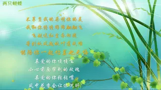 两只蝴蝶-歌词伴奏