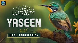 Surah Yasin ( Yaseen ) with Urdu Translation | Quran Tilawat Beautiful Voice | Hindi Tarjuma | EP214