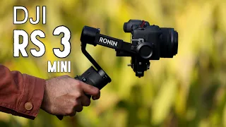 DJI RS 3 Mini | Perfect Gimbal for Video Creators in Budget