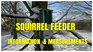 squirrel feeder measurement & information