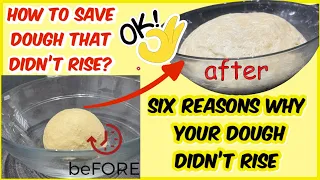 SIX REASONS WHY YOUR DOUGH DIDN’T RISE | HOW TO FIX DOUGH THAT WON’T RISE