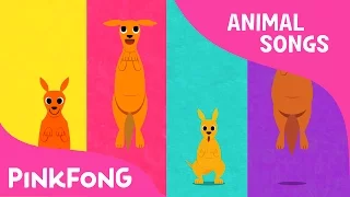 Looby Loo Kangaroo | Kangaroo | Animal Songs | Pinkfong Songs for Children